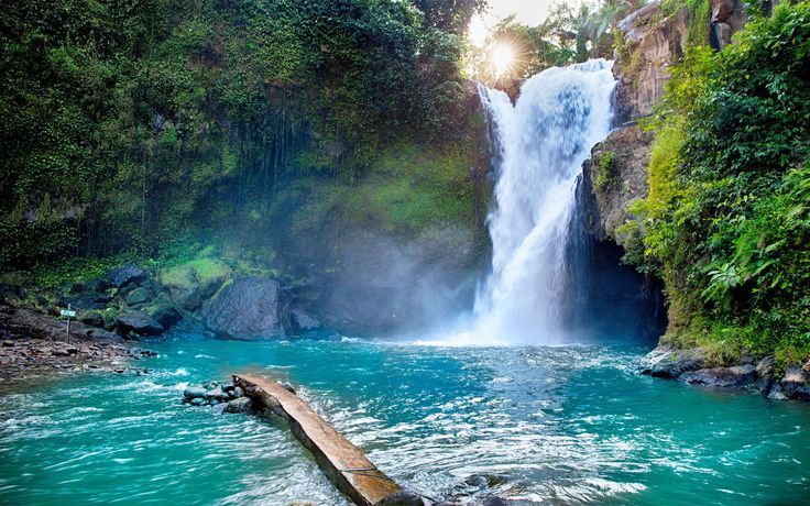 Menyusuri Air Terjun Eksotis di Tengah Alam Liar